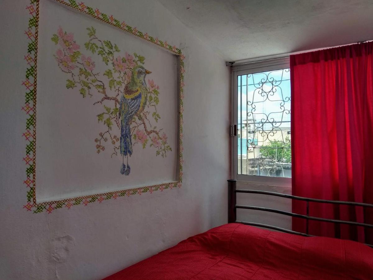 Apartament Casa Mestiza Mérida Zewnętrze zdjęcie
