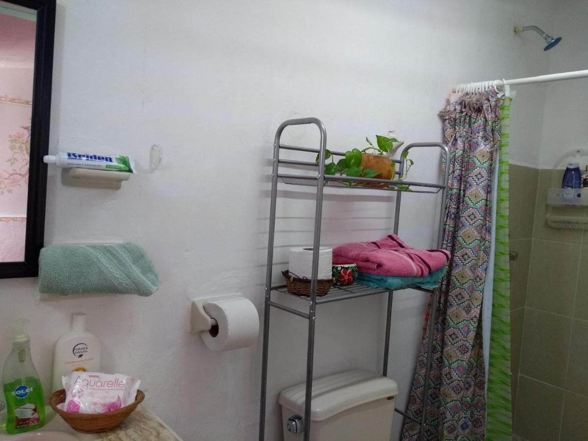 Apartament Casa Mestiza Mérida Zewnętrze zdjęcie